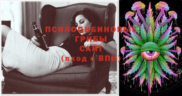 молекула духа Аркадак