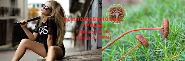 молекула духа Аркадак