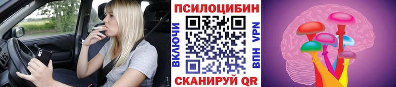 Галлюциногенные грибы Cubensis  Новая Ладога 